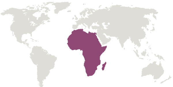 Map with the African region highlighted.